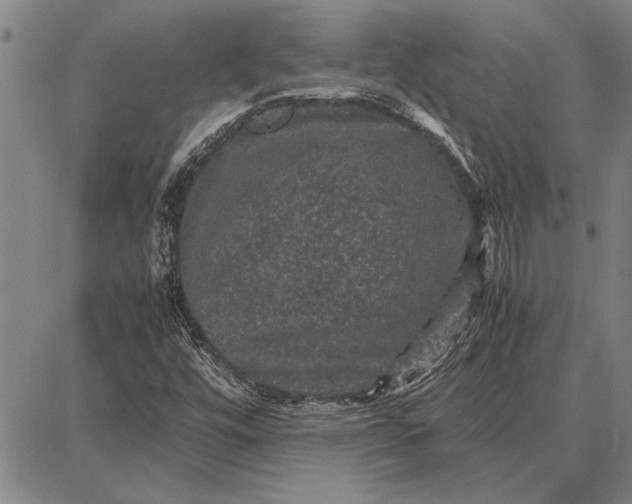 X0000087671448200705181653