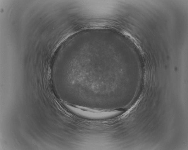 X0000087671449200705181653