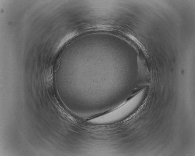 X0000087671450200705181653