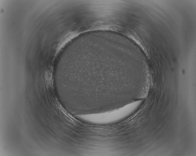 X0000087671452200705181653