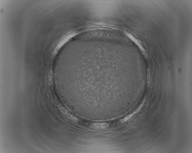 X0000087671453200705181653