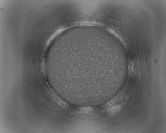 X0000087671454200705181653