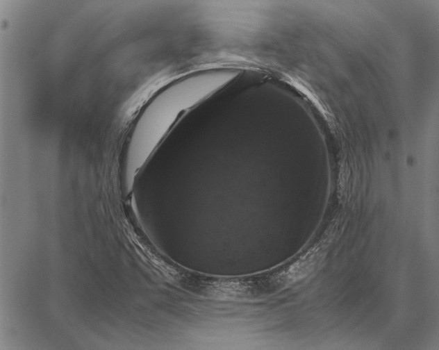 X0000087671455200705181653