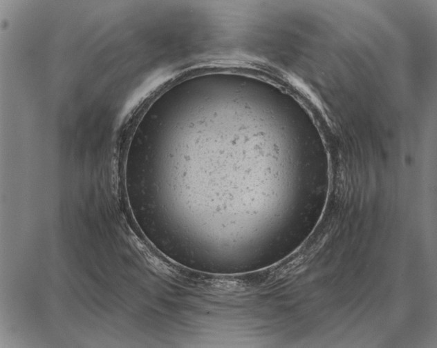 X0000087671456200705181653