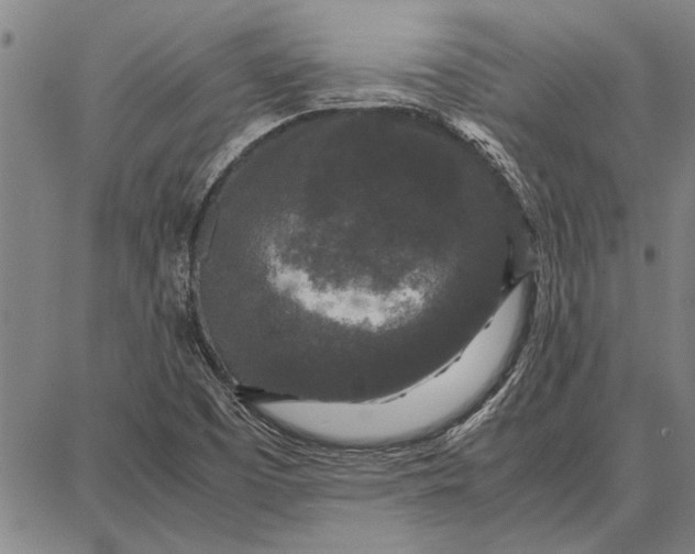 X0000087671457200705181652