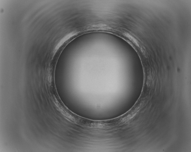 X0000087671458200705181652