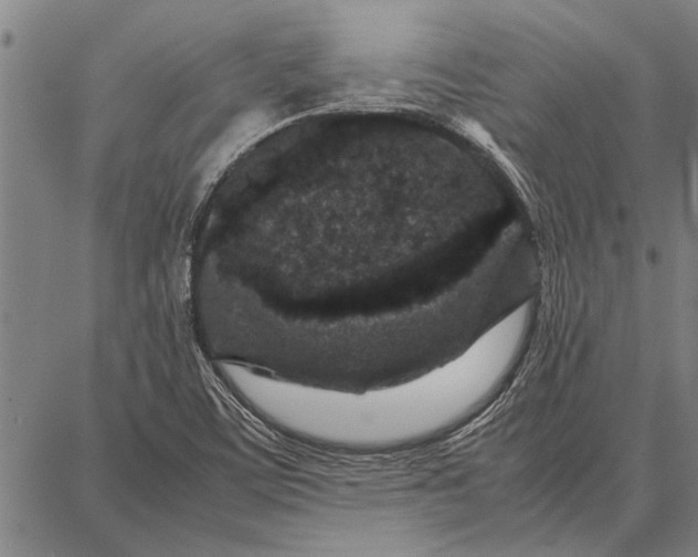 X0000087671459200705181652