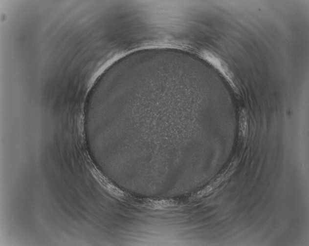 X0000087671460200705181652