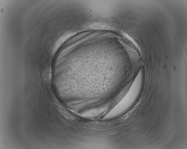 X0000087671461200705181652