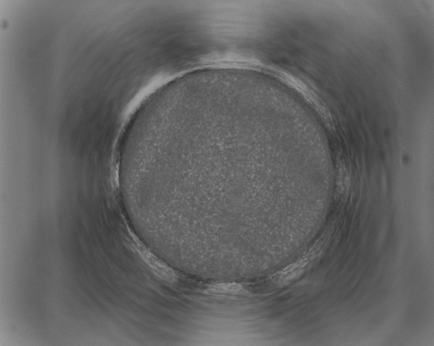 X0000087671462200705181652