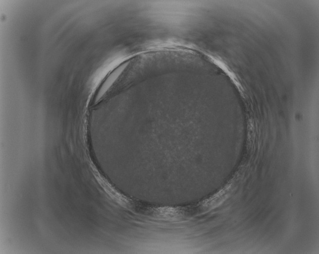 X0000087671463200705181652