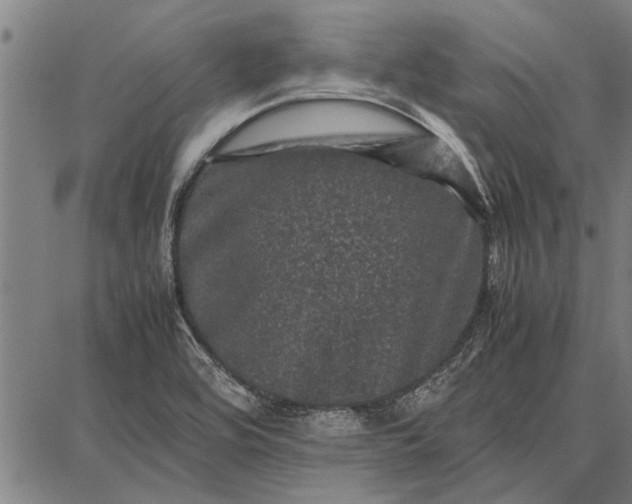 X0000087671464200705181652