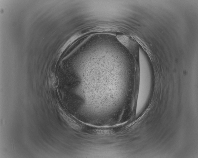 X0000087671465200705181652