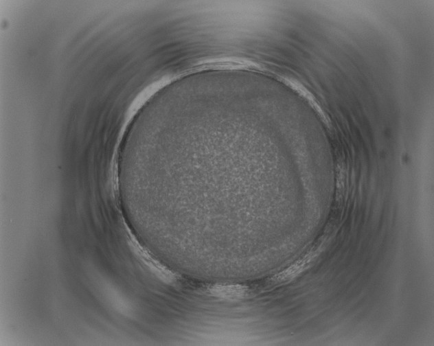 X0000087671466200705181652