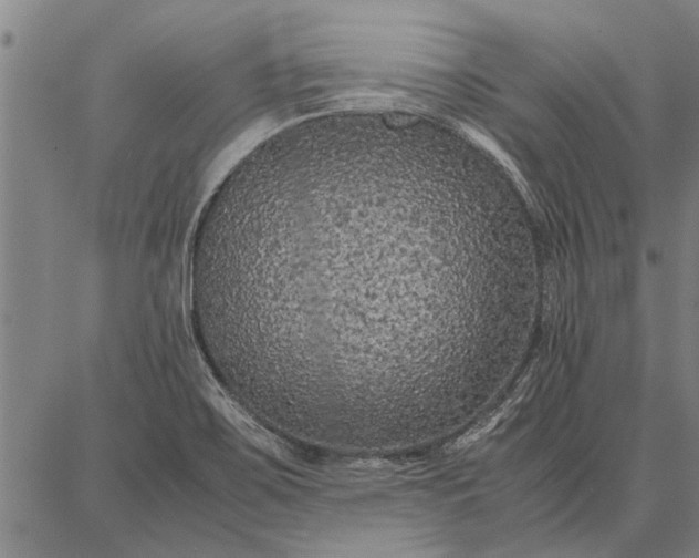 X0000087671467200705181652