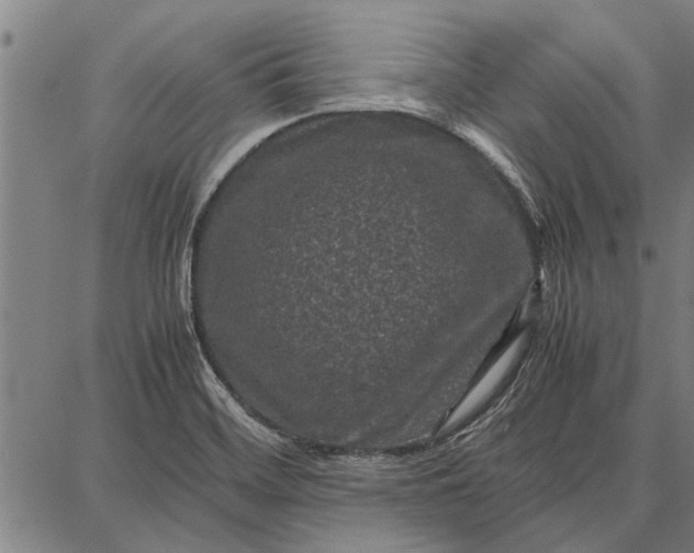 X0000087671468200705181652