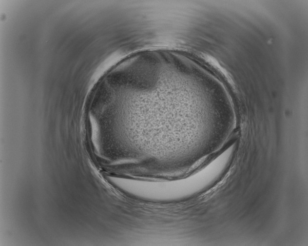 X0000087671469200705181652