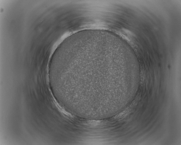 X0000087671470200705181652