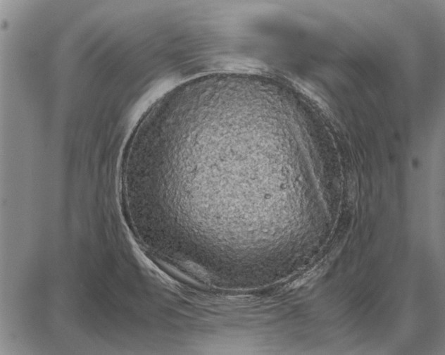 X0000087671471200705181652