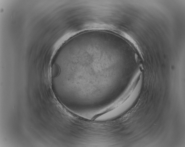 X0000087671472200705181652