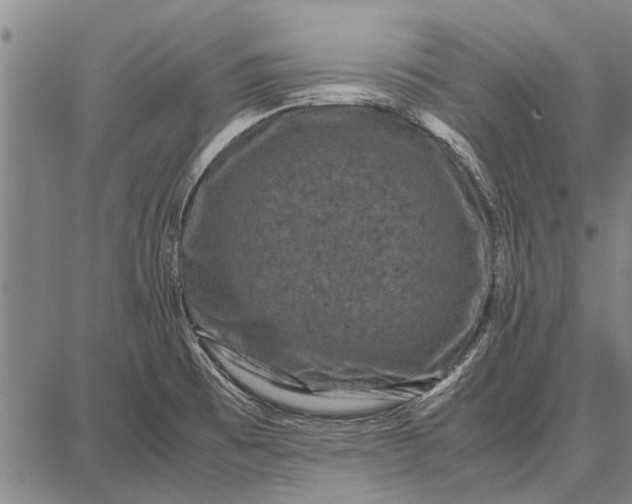 X0000087671473200705181652