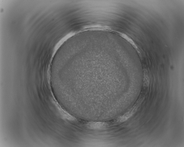 X0000087671474200705181652