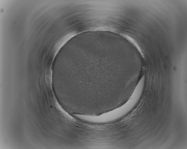 X0000087671476200705181652