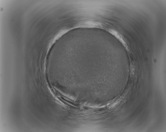 X0000087671477200705181652