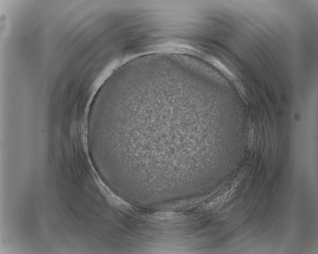 X0000087671478200705181652