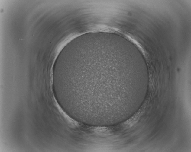 X0000087671479200705181652