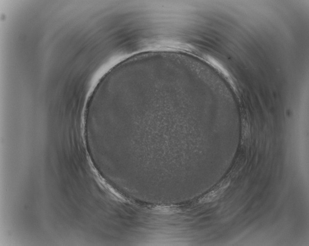 X0000087671480200705181652