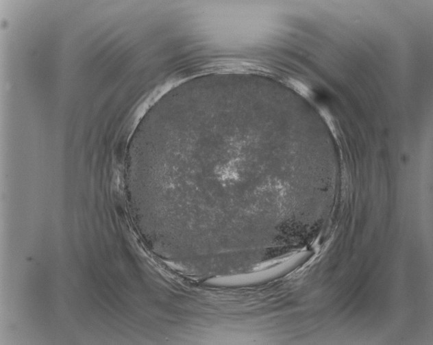 X0000087671481200705181652