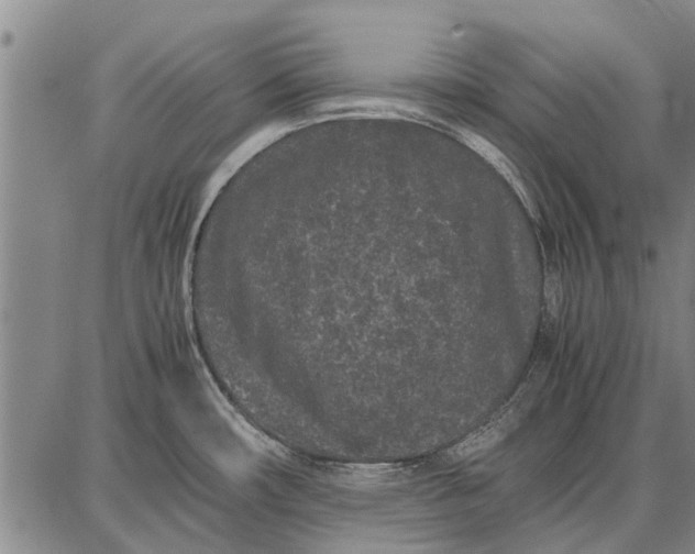 X0000087671482200705181652