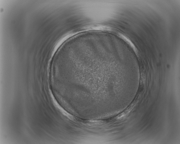 X0000087671483200705181652