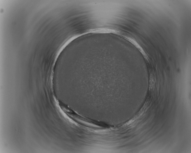 X0000087671484200705181652