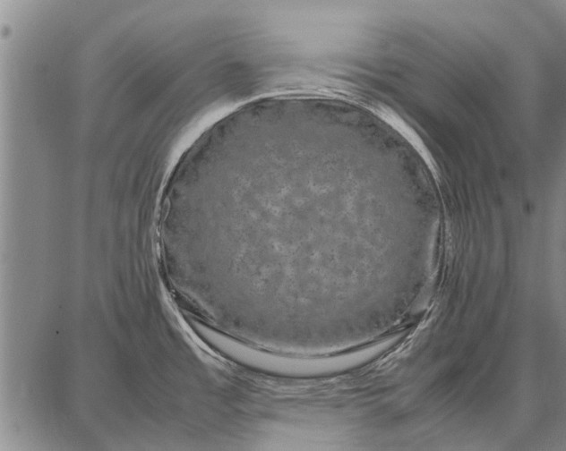 X0000087671485200705181652