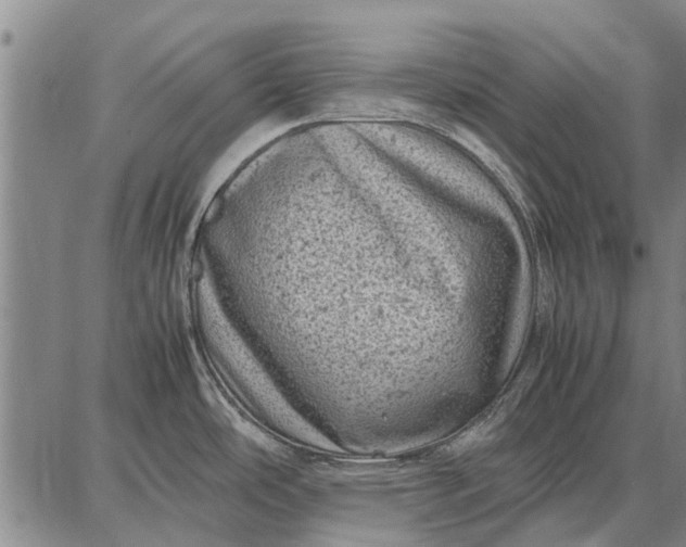 X0000087671486200705181652