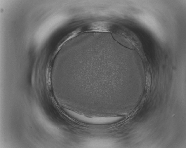 X0000087671487200705181652