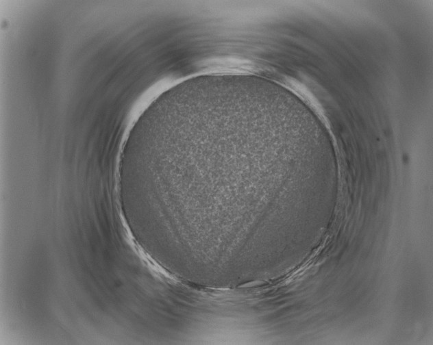 X0000087671488200705181652