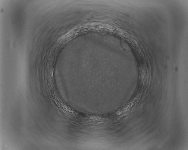 X0000087671489200705181651