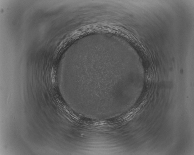 X0000087671490200705181651