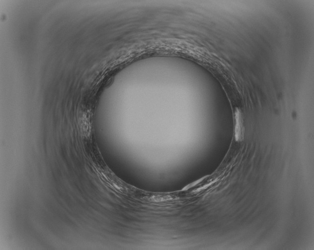 X0000087671491200705181651