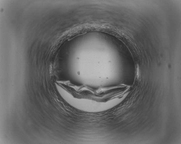 X0000087671492200705181651