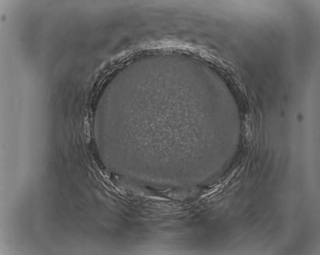 X0000087671493200705181651