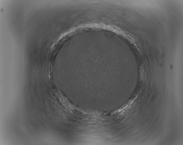 X0000087671494200705181651