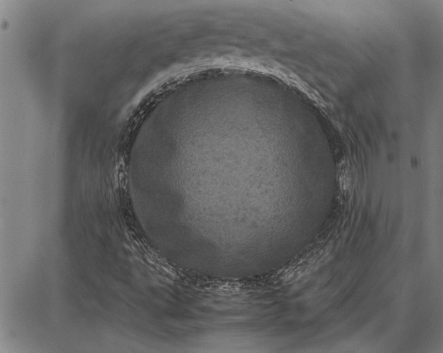 X0000087671495200705181651