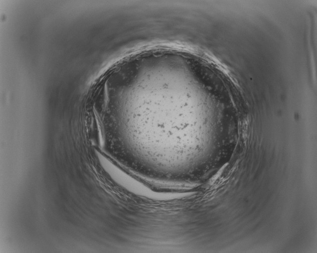 X0000087671496200705181651