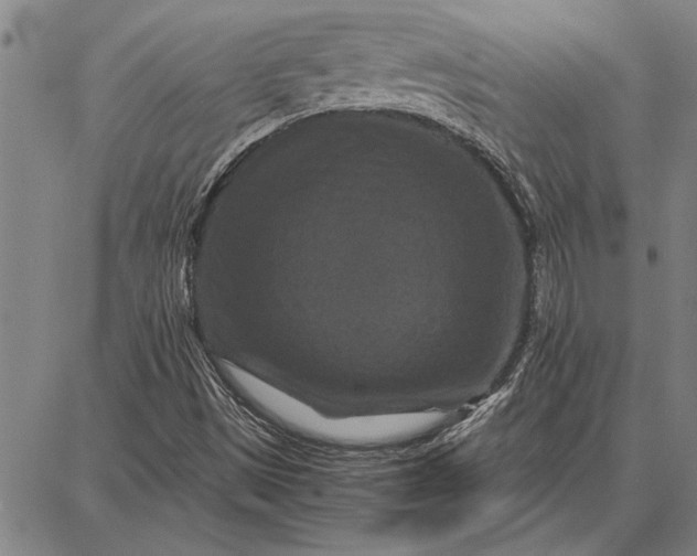 X0000087671497200705181651