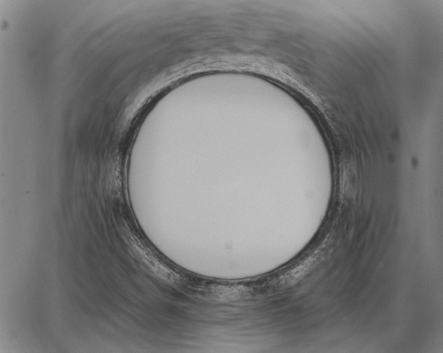 X0000087671498200705181651