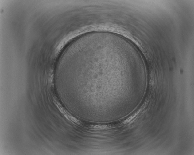 X0000087671499200705181651